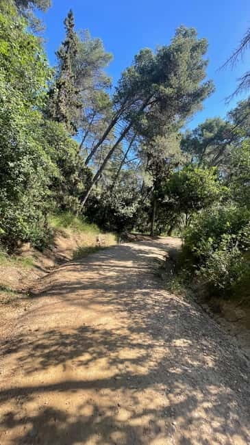Sunrise at Tibidabo + local breakfast with views - What Sets This Tour Apart
