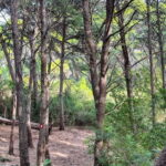 Sunrise & Sunset Hike with Picnic  Mala Petka, Dubrovnik - What to Expect During the Hike