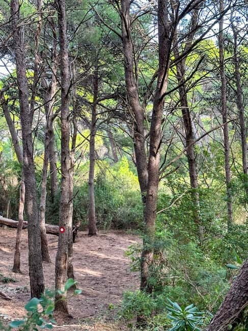 Sunrise & Sunset Hike with Picnic Mala Petka, Dubrovnik - What to Expect During the Hike