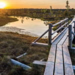 Sunrise Tour To Great Kemeri Bog - Detailed Breakdown of the Itinerary