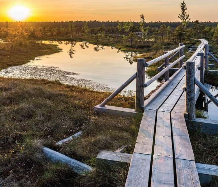 Sunrise Tour To Great Kemeri Bog - Detailed Breakdown of the Itinerary