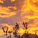 Sunset - What’s Included and Practical Details