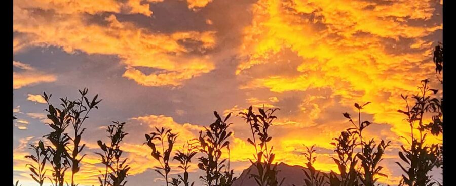 Sunset - What’s Included and Practical Details