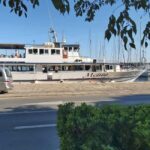 SUNSET DOLPHIN WATCHING BOAT TOUR - Practical Details and Tips