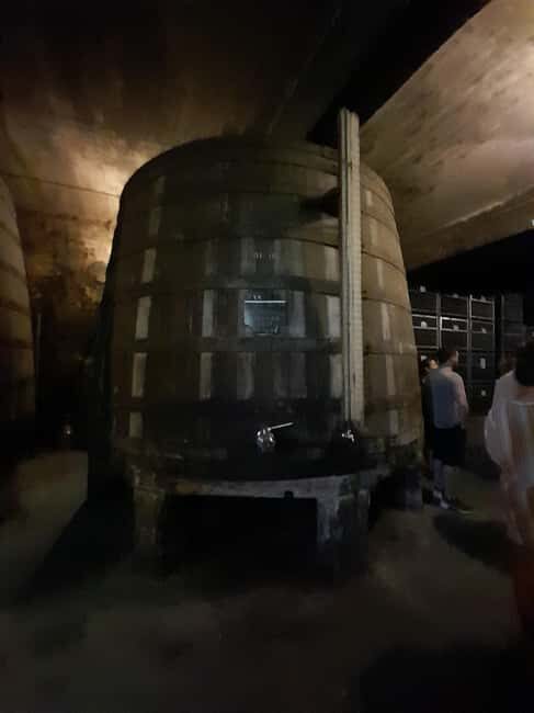 Sunset Douro melhor experiência vinho e comida Portuguesa - Who Should Consider This Tour?