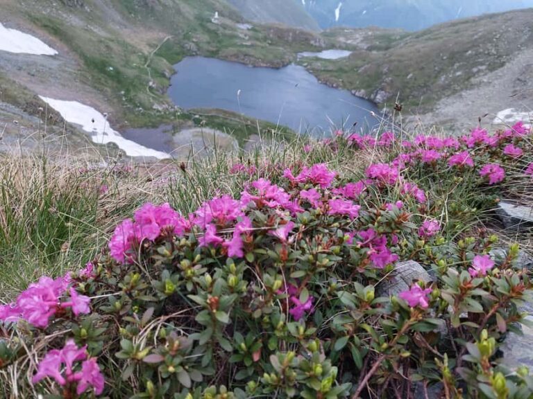 Sunset Hike on Transfgran: Buteanu & Capra glaciary lake - The Hike Begins at Bâlea Lake
