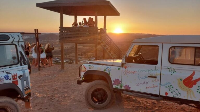 Sunset Safari - Practical Tips for Making the Most of the Sunset Safari