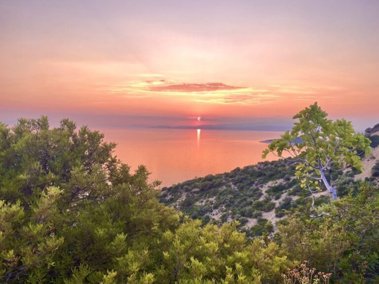 Sunset Safari in Thassos with free refill prosecco & fruits - Why This Tour Offers Great Value