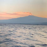 Sunset tour in search of dolphins with aperitif - Who Is This Tour Best For?