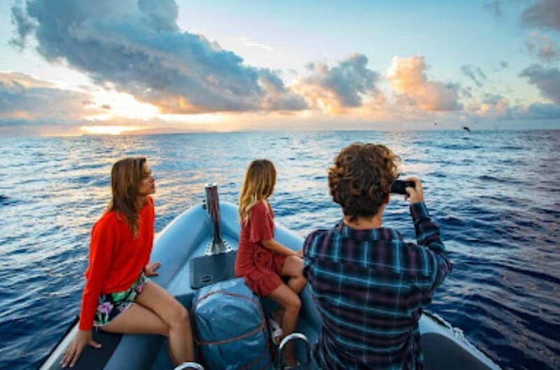 Sunset Trip + Dolphin & Whale Watching - Speed Boat - Final Thoughts: Is this tour worth it?