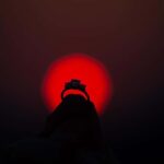 Surprise Proposal Photoshoot in Athens - Analyzing the Value