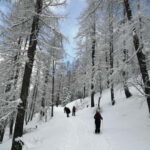 Susa Valley at dawn: snowshoeing in nature and silence - Detailed Itinerary Breakdown