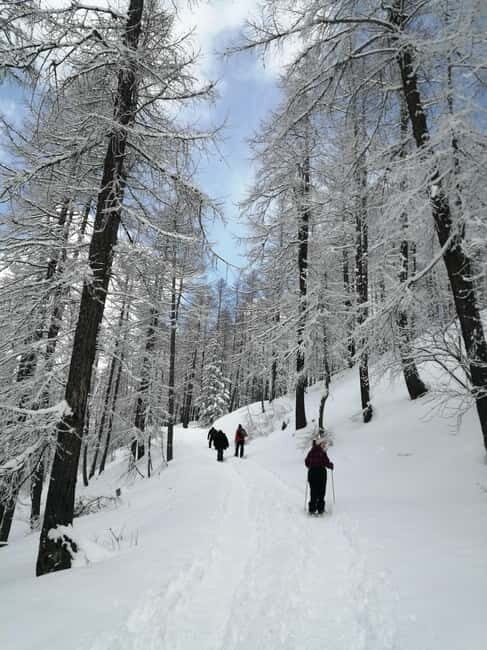Susa Valley at dawn: snowshoeing in nature and silence - Detailed Itinerary Breakdown
