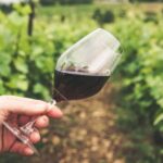 Sussex: Small-Group Wine Tours - FAQ