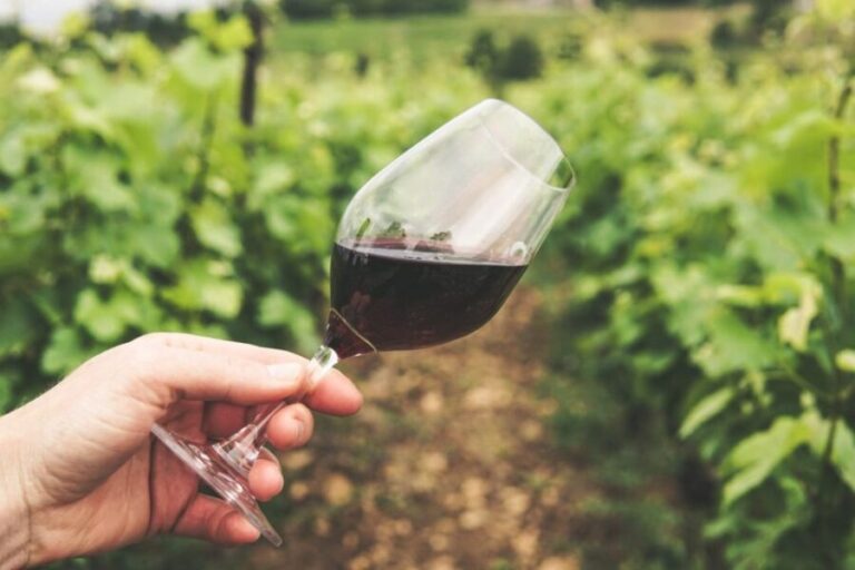 Sussex: Small-Group Wine Tours - FAQ