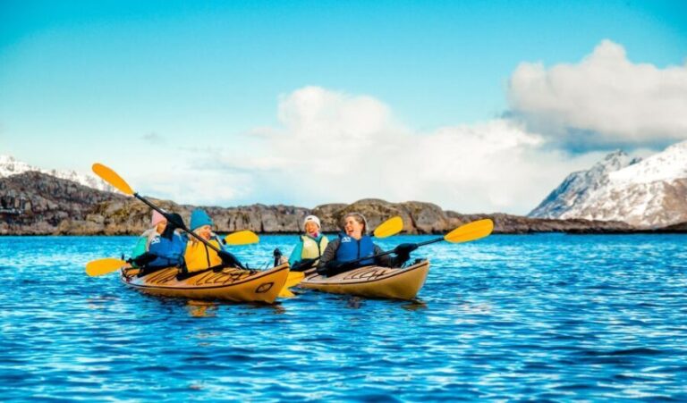 Svolvaer: 2-Hour Winter Kayaking Adventure - Who Will Love This Tour?