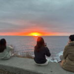 Svolvær: Lofoten Islands Full-Day Guided Tour - Transportation and Practicalities