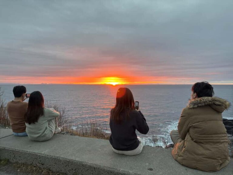 Svolvær: Lofoten Islands Full-Day Guided Tour - Transportation and Practicalities