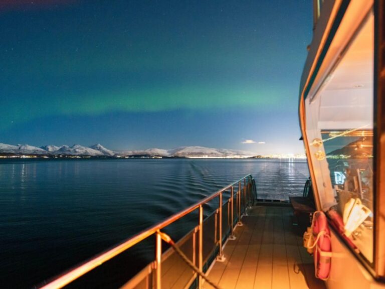 Svolvær: Northern Lights and Full Steam Cruise with Tasting - A Closer Look at the Experience