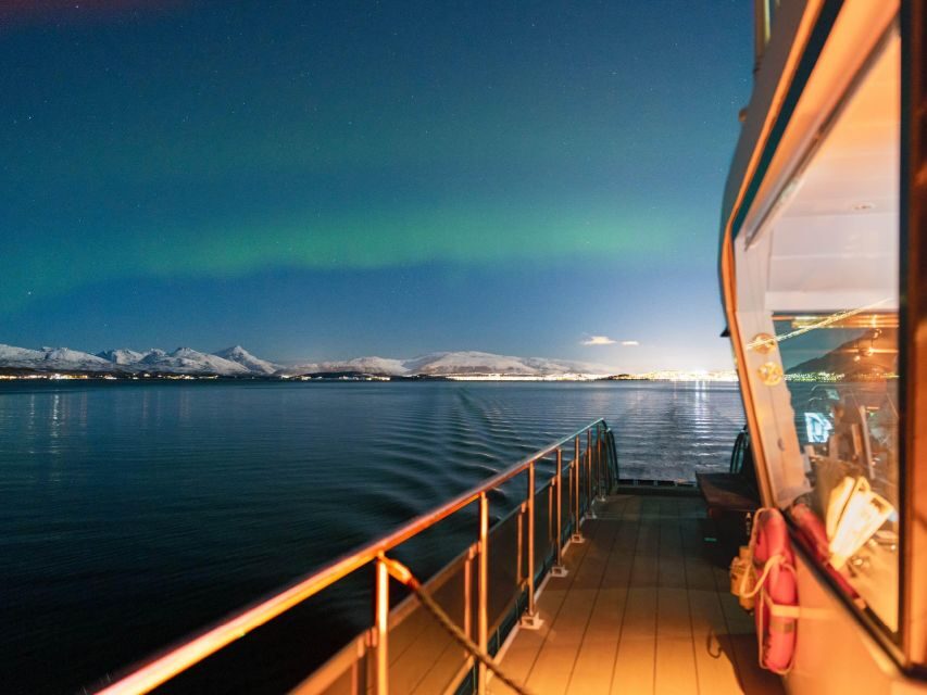 Svolvær: Northern Lights and Full Steam Cruise with Tasting - A Closer Look at the Experience