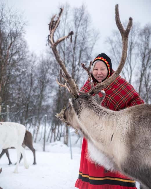 Svolvær: Sami Culture and Reindeer Experience - Visiting the Sami Siida (Reindeer Camp)