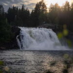 Swedish Lapland: Midnight Sun Photography Workshop - What’s Included and What to Expect