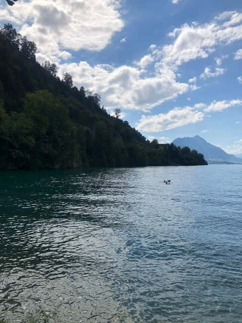 Swiss Highlights: Guided Zürich, Lucerne and Basel tour - What’s Included and What’s Not