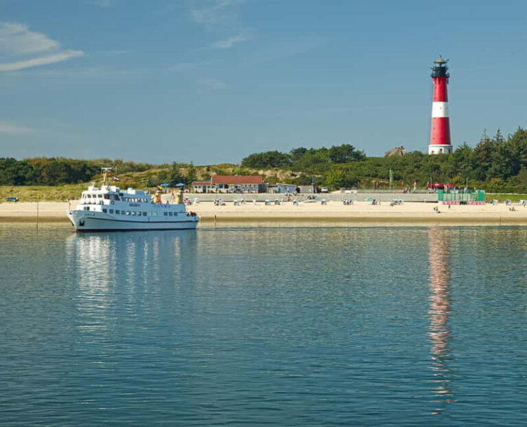 Sylt: Boat tour - afternoon cruise | coffee & cake available - Why this cruise offers good value