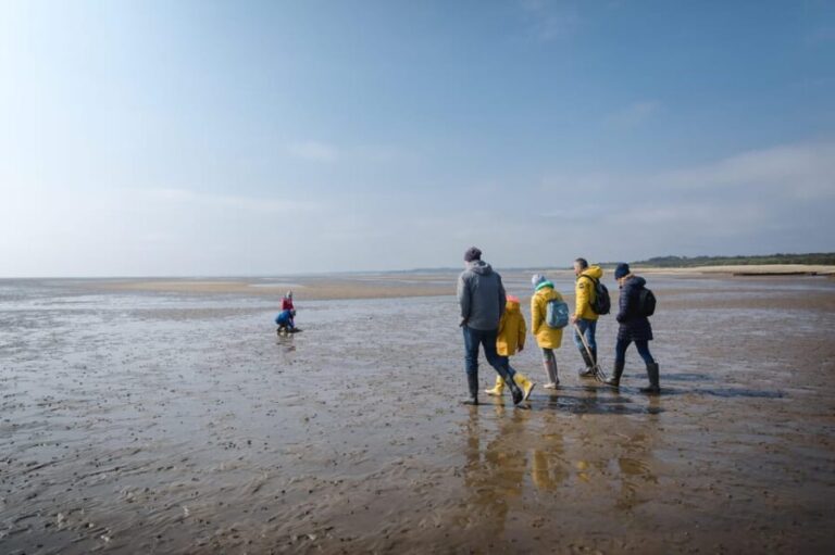 Sylt: Guided Mudflat Hike on the Island - Who Is This Tour Best For?