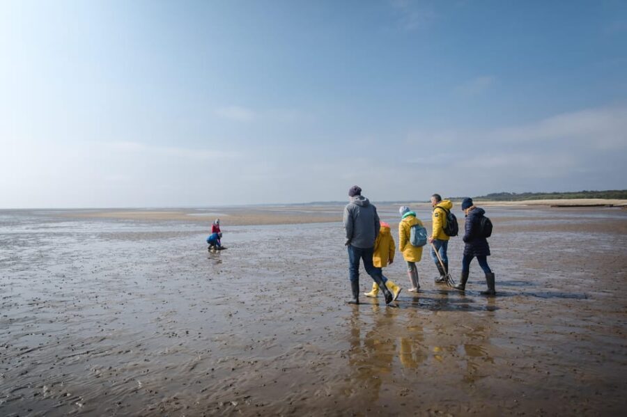 Sylt: Guided Mudflat Hike on the Island - Who Is This Tour Best For?