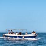 Syracuse: Pillirina, Ortigia, and Sea Caves Tour by Boat - The Experience in Detail