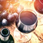 Szczecin Wine Tasting Private Tour with Wine Expert - Atmosphere, Guide, and Overall Vibe