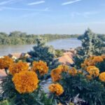 Szentendre: Arts and Cafés Tour (Half-Day Private Tour) - Discovering Szentendre: A Closer Look