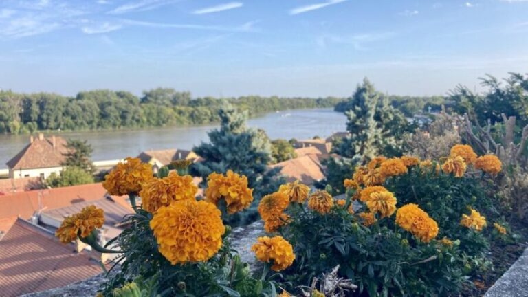 Szentendre: Arts and Cafés Tour (Half-Day Private Tour) - Discovering Szentendre: A Closer Look