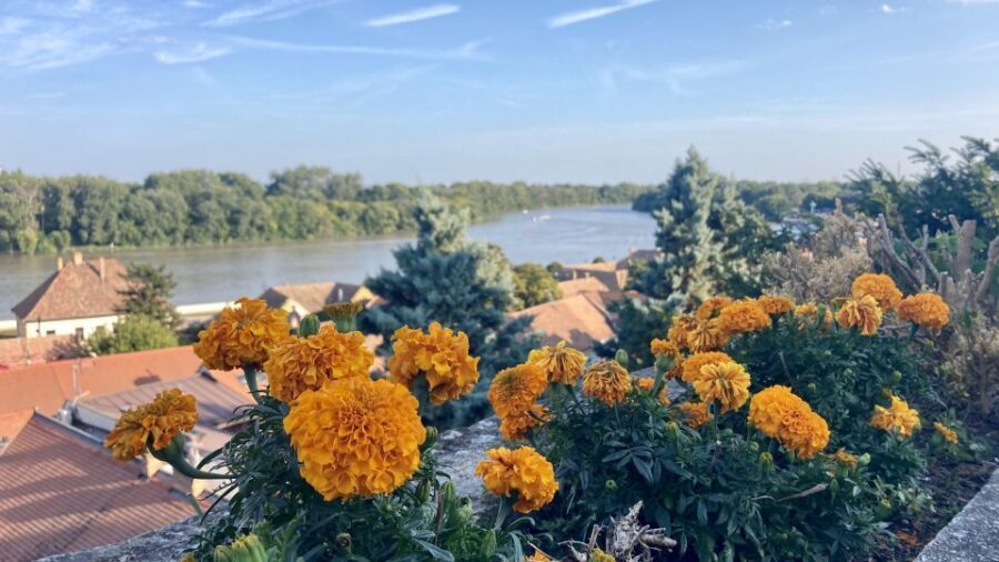 Szentendre: Arts and Cafés Tour (Half-Day Private Tour) - Discovering Szentendre: A Closer Look