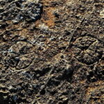 Tabaccara Promontory Tour - Why This Tour Offers Great Value