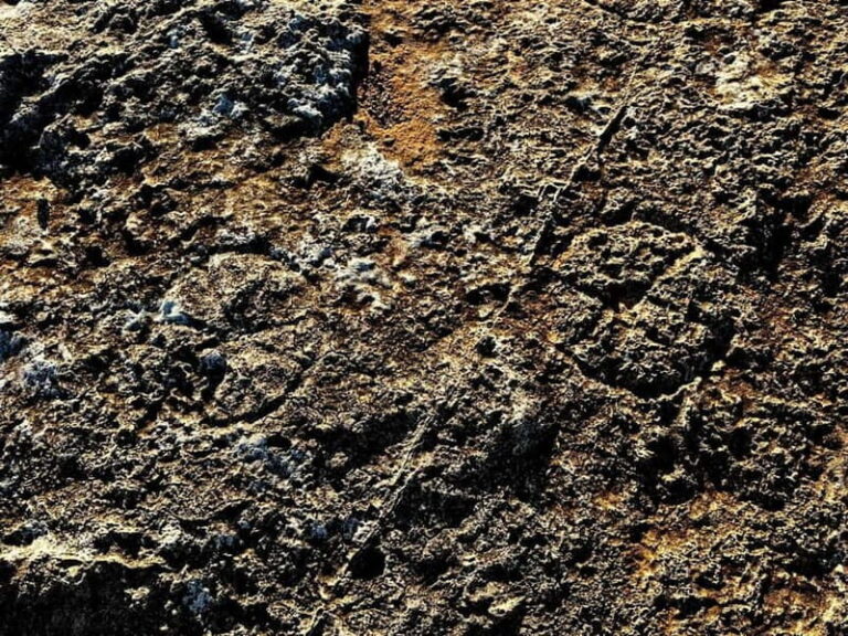 Tabaccara Promontory Tour - Why This Tour Offers Great Value