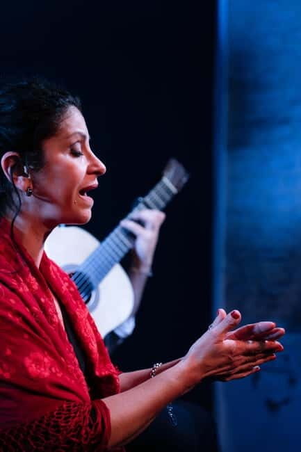 Tablao Flamenco La Exclusiva in Seville and Tinto de Verano - Who Will Love This Experience?