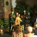 Tablao Flamenco La Puerta Ancha entrance ticket - Practical Details and Value