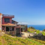 Tacoronte: Guided Winery Tour with Wine and Cheese Tastings - Authentic Experiences and Highlights from Real Travelers