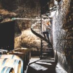 Taillan-Médoc: Château Visit and Wine Tasting in Bordeaux - The Sum Up