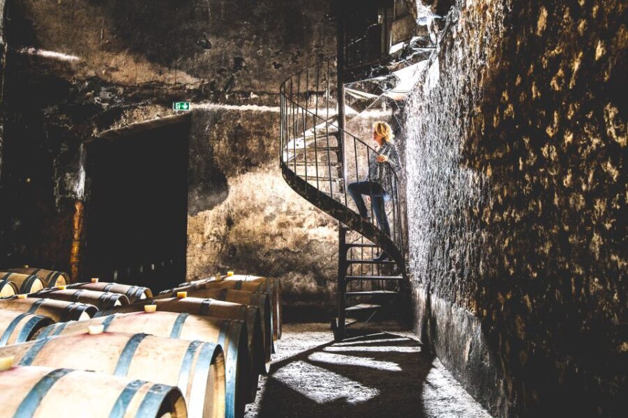 Taillan-Médoc: Château Visit and Wine Tasting in Bordeaux - The Sum Up