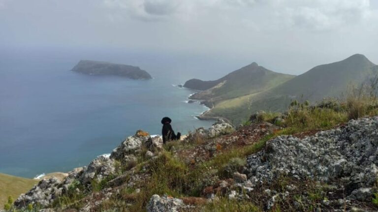 Tailored Trek: Your adventure, Your Way - Who Is This Tour Best For?