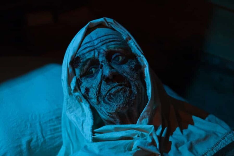 Tales of Torture in Mdina Dungeons - Guided Tour - A Detailed Look at the Mdina Dungeons Guided Tour