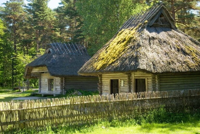 Tallinn: 3-Hour Ethnographic Museum of Estonia - The Role of Guides and Additional Activities