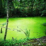 Tallinn: Astangu Nature and History Hike - Final Thoughts: Who Will Love This Tour?