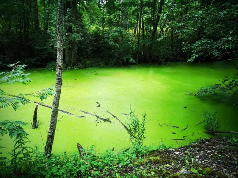 Tallinn: Astangu Nature and History Hike - Final Thoughts: Who Will Love This Tour?
