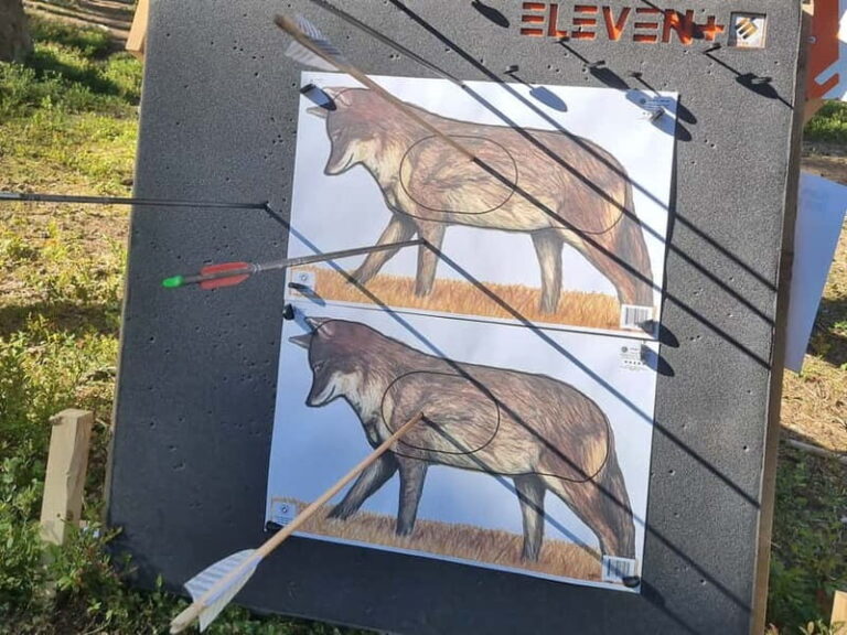 Tallinn: Beginner Archery Class with Transfer - The Practice: Shooting Targets at Different Distances