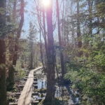 Tallinn: Best Estonian Nature Trails in a Day Guided Tour - Transportation and Group Size