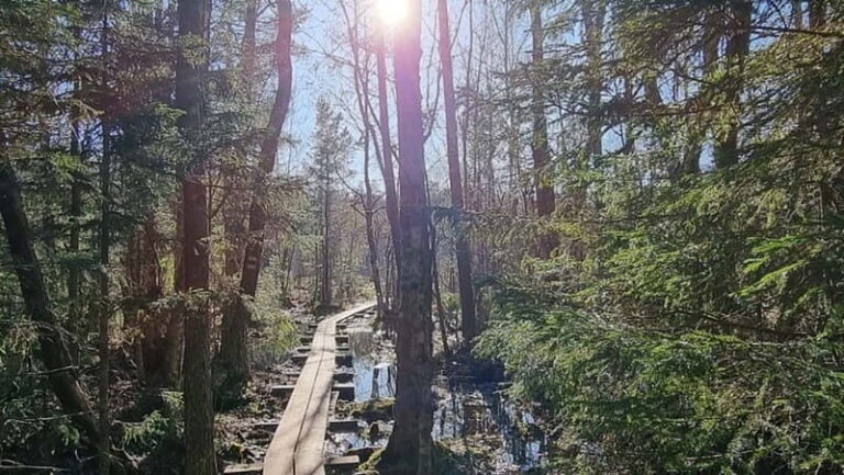 Tallinn: Best Estonian Nature Trails in a Day Guided Tour - Transportation and Group Size